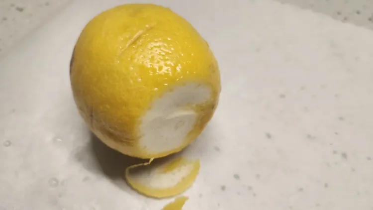 꼭지가-썰어진-레몬