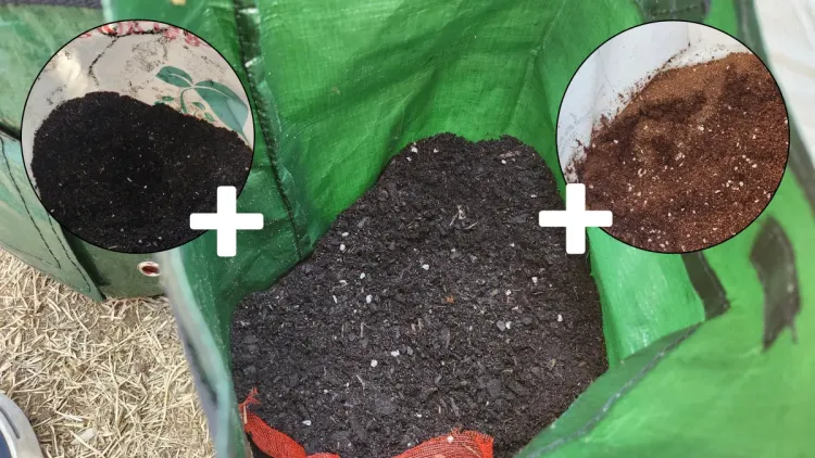 분갈이용-흙-상토-뿌리채소용-흙-섞음