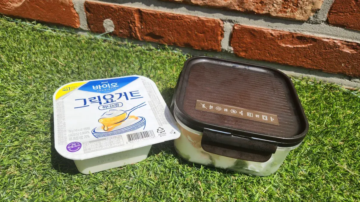 바이오-그릭요거트-수제와-비교