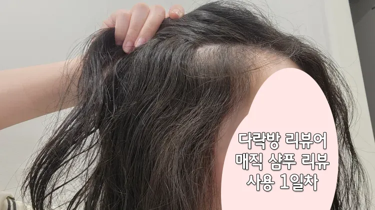 웨이브가-강하게-져있는-M자이마-라인의-속-머리카락
